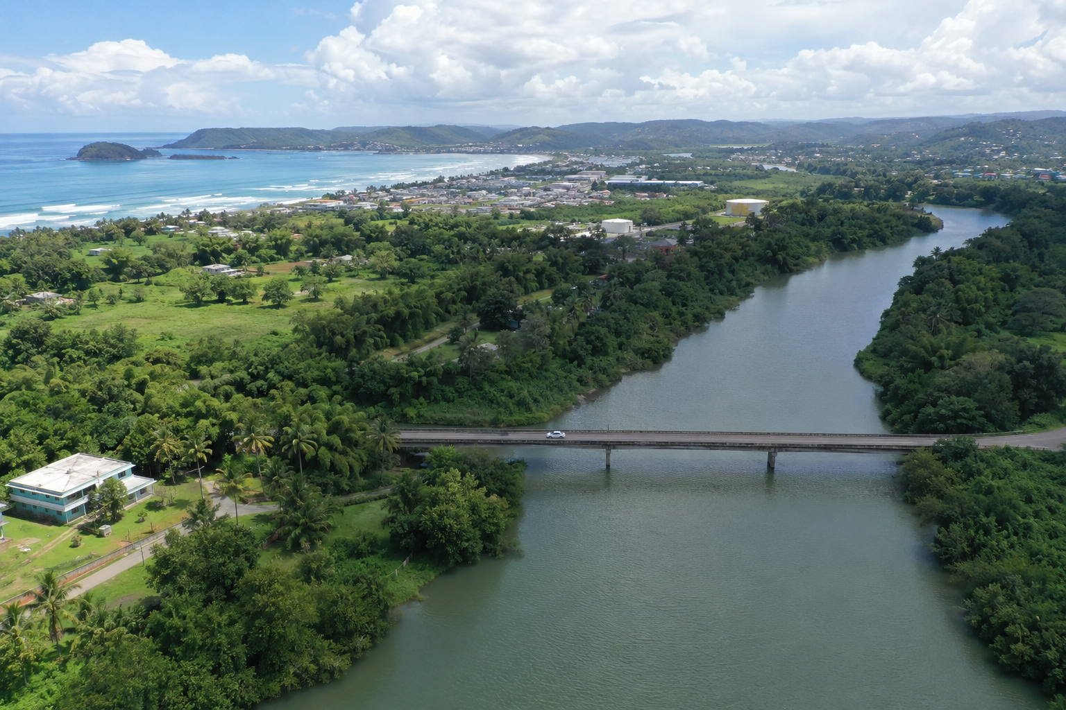Tropical Nature walk exploring Vega Baja